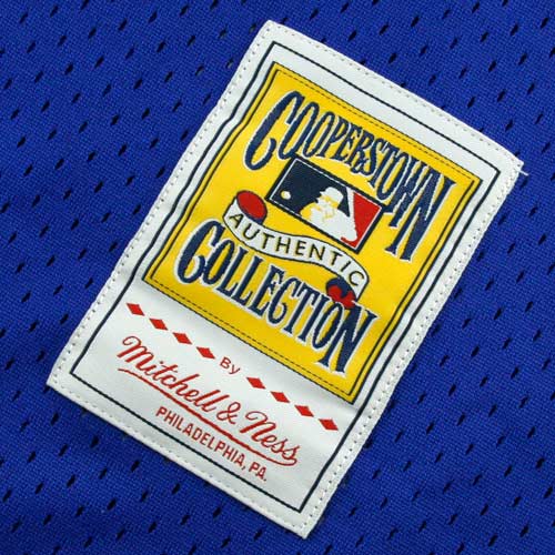 Mitchell & Ness Ryne Sandberg Chicago Cubs Cooperstown Authentic Collection Throwback Replica Jersey - Royal Blue - vstockx