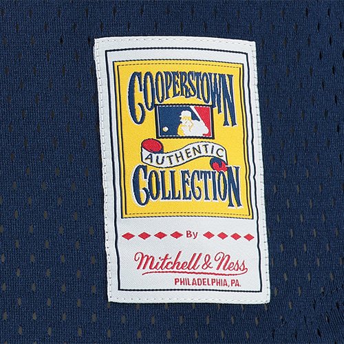 Men's Craig Biggio Houston Astros Mitchell & Ness Cooperstown Mesh Batting Practice Jersey - Navy - vstockx