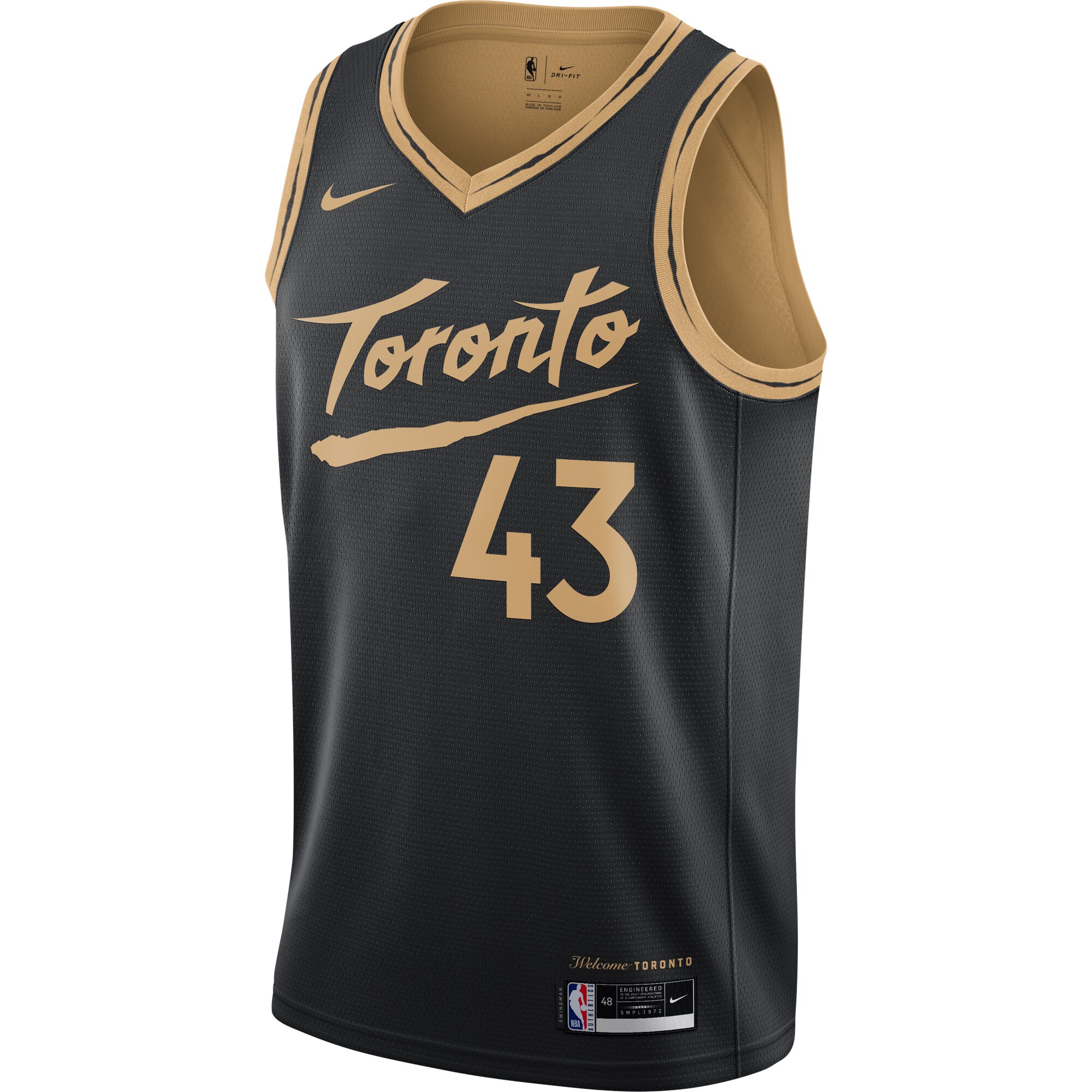 Pascal Siakam Toronto Raptors Nike 2020/21 Swingman Jersey Black - City Edition - vstockx