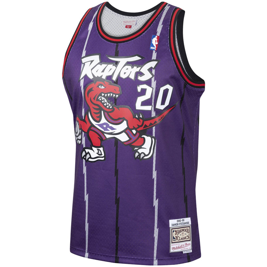 Men's Damon Stoudamire Toronto Raptors Mitchell & Ness 1995-96 Hardwood Classics Swingman Jersey - Purple - vstockx