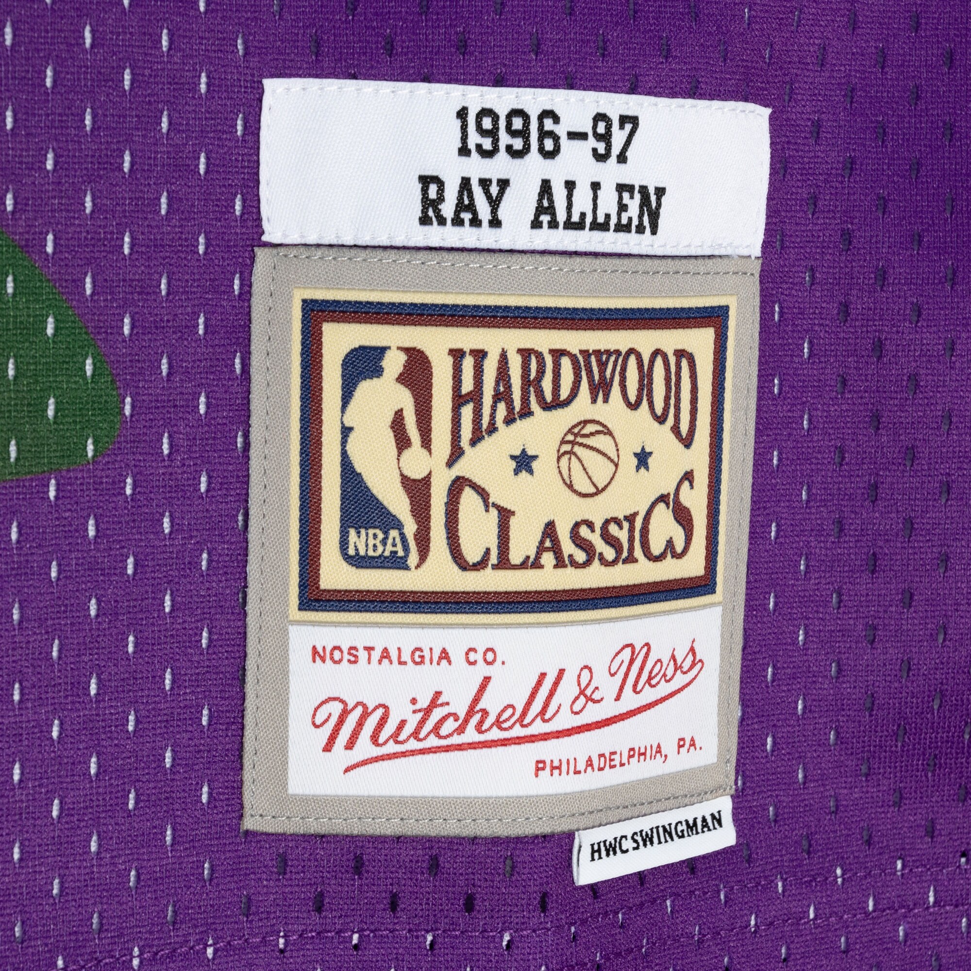 Ray Allen Milwaukee Bucks Mitchell & Ness Hardwood Classics 1996/97 Split Swingman Jersey - Green/Purple - vstockx