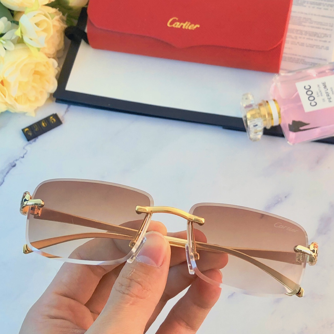 Sunglasses Cartier sunglasses - vstockx