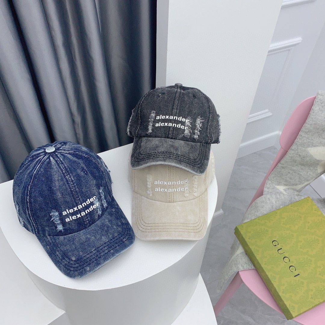 Streetwear Hat Alexander wang 328886 - vstockx