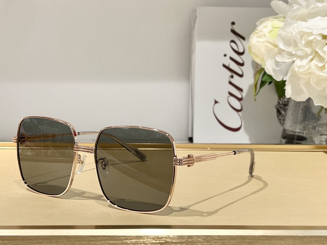 Sunglasses Cartier CT0304 SIZE��59 17-145 - vstockx