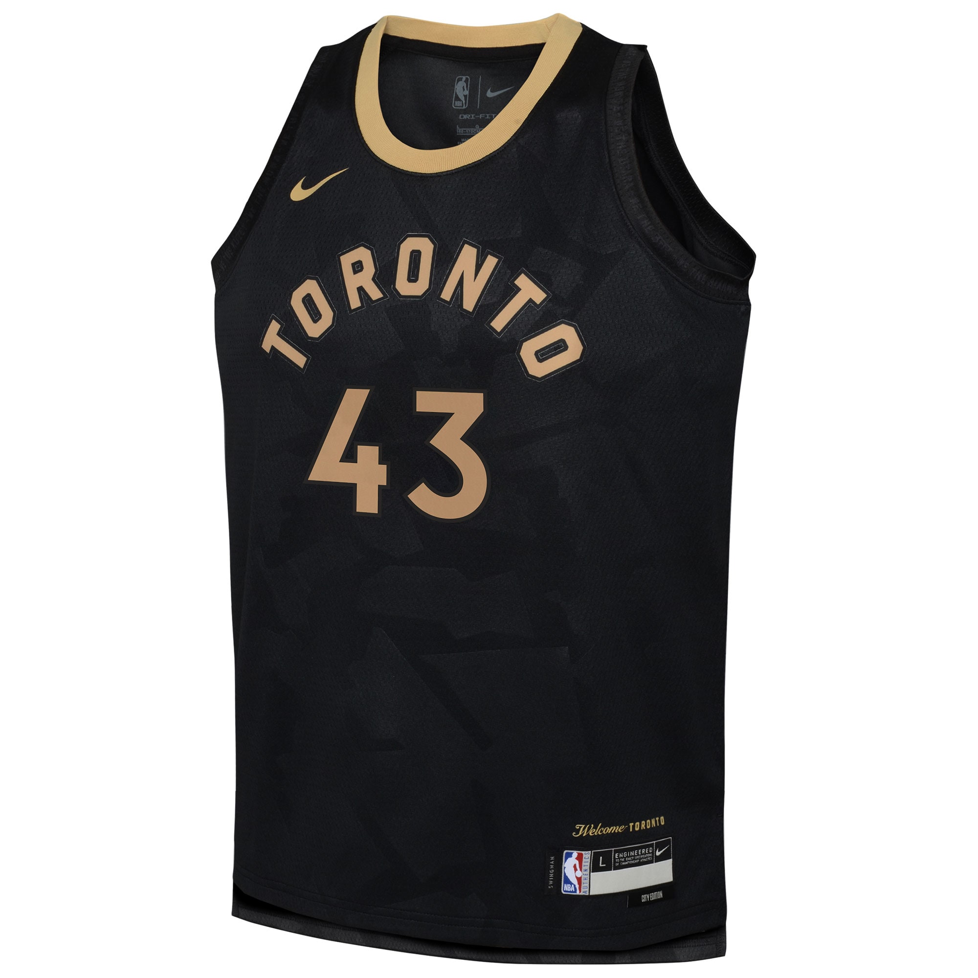 Pascal Siakam Toronto Raptors Nike Youth 2022/23 Swingman Jersey - City Edition - Black - vstockx