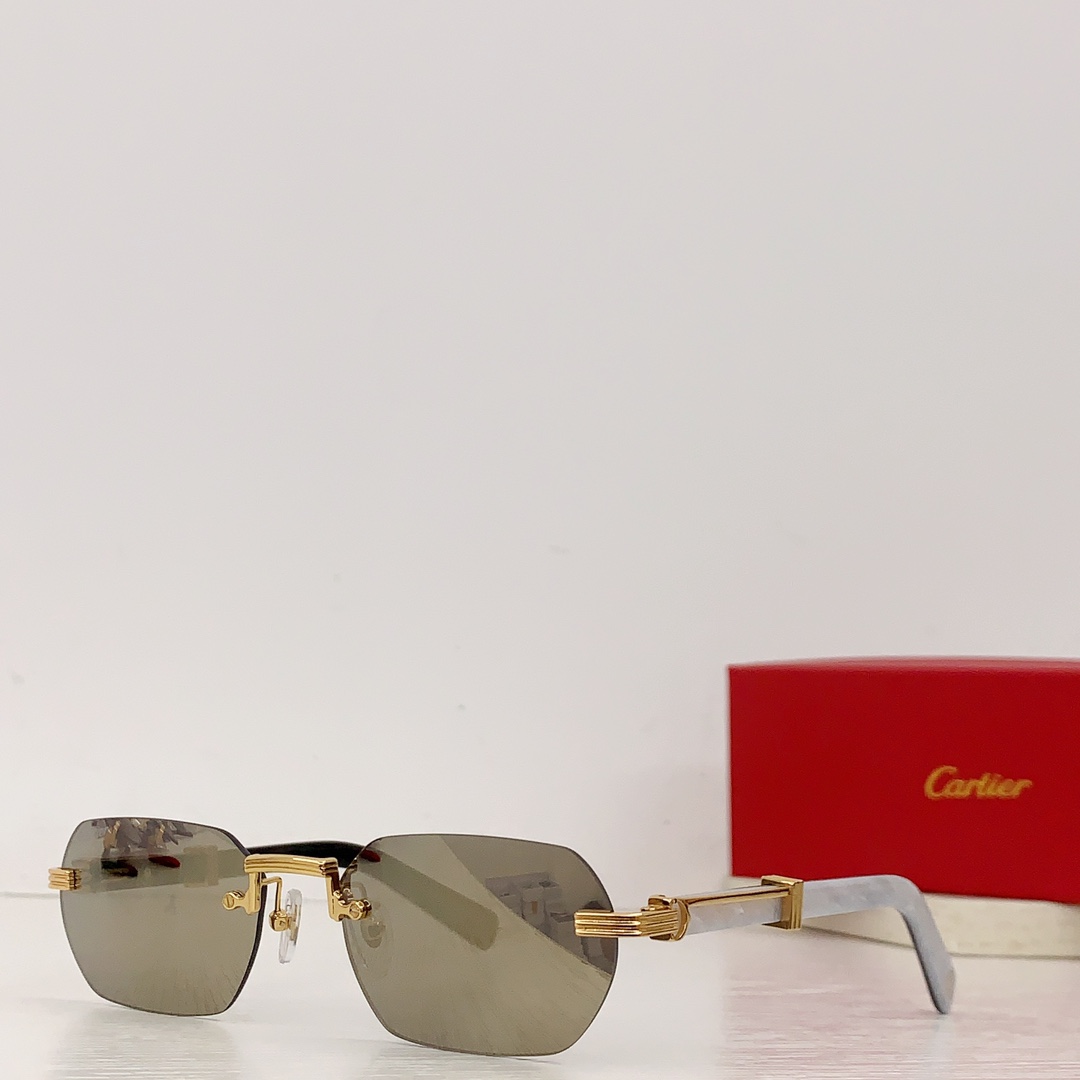 Sunglasses Cartier CT0362S size��55-21-145 - vstockx