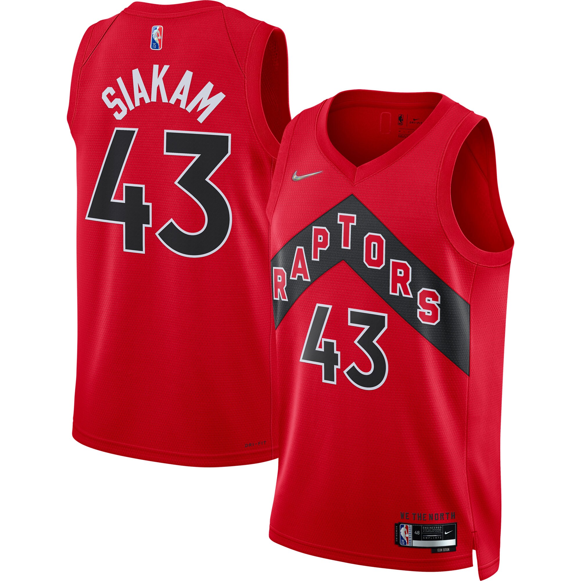 Pascal Siakam Toronto Raptors Nike 2021/22 Diamond Swingman Jersey - Icon Edition - Red - vstockx