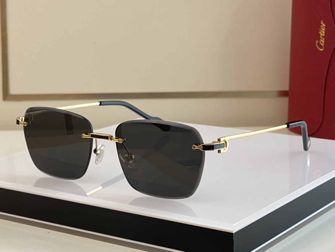 Sunglasses Cartier Premi��re de Cartier CT0343 size: 58-18 145 - vstockx