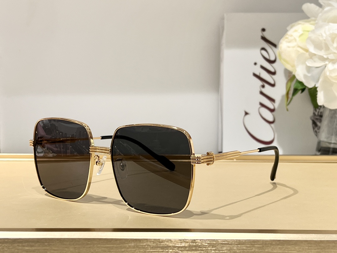 Sunglasses Cartier CT0304 SIZE��59 17-145 - vstockx