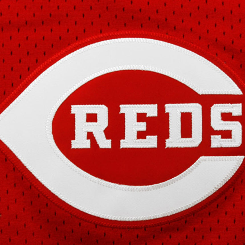 Men's Cincinnati Reds Johnny Bench Mitchell & Ness Red 1983 Authentic Cooperstown Collection Mesh Batting Practice Jersey - vstockx