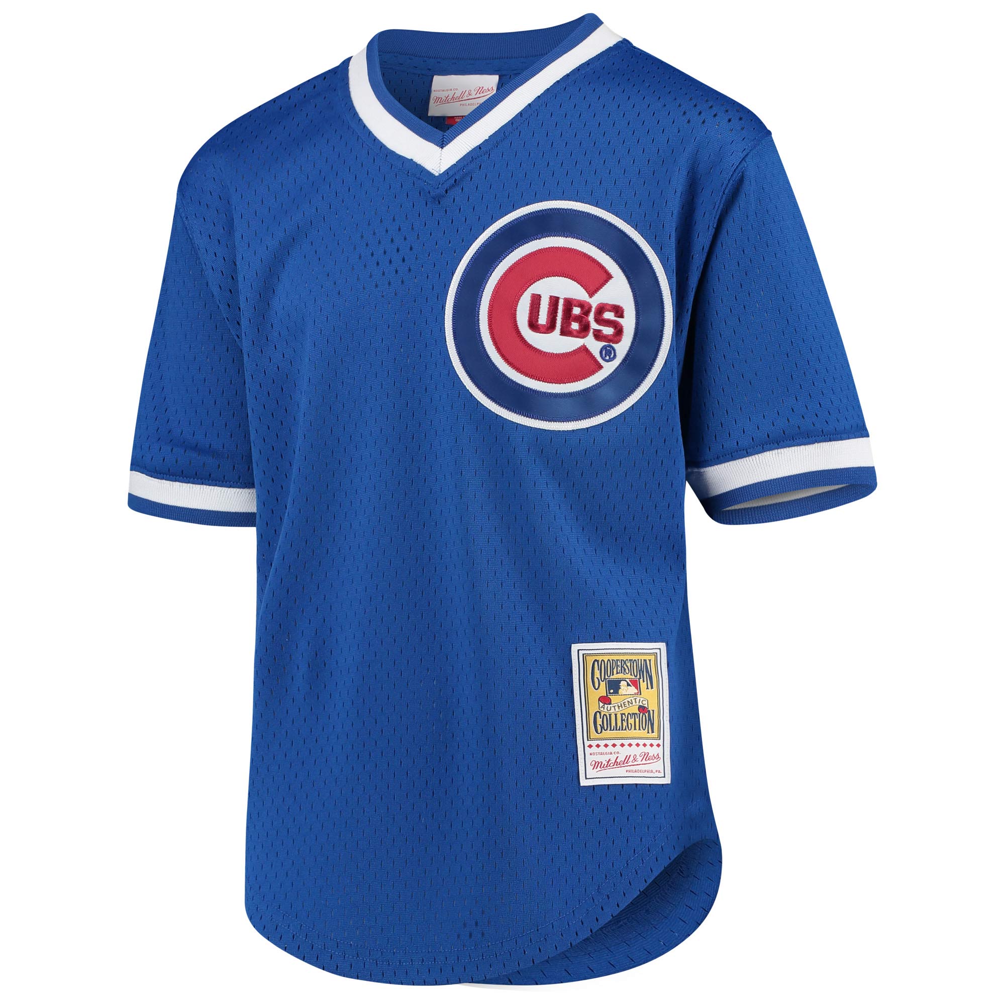 Ryne Sandberg Chicago Cubs Mitchell & Ness Youth Cooperstown Collection Mesh Batting Practice Jersey - Royal - vstockx