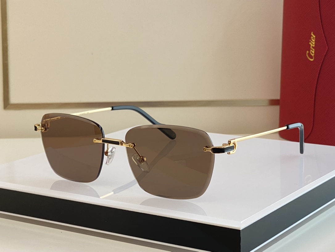 Sunglasses Cartier Premi��re de Cartier CT0343 size: 58-18 145 - vstockx