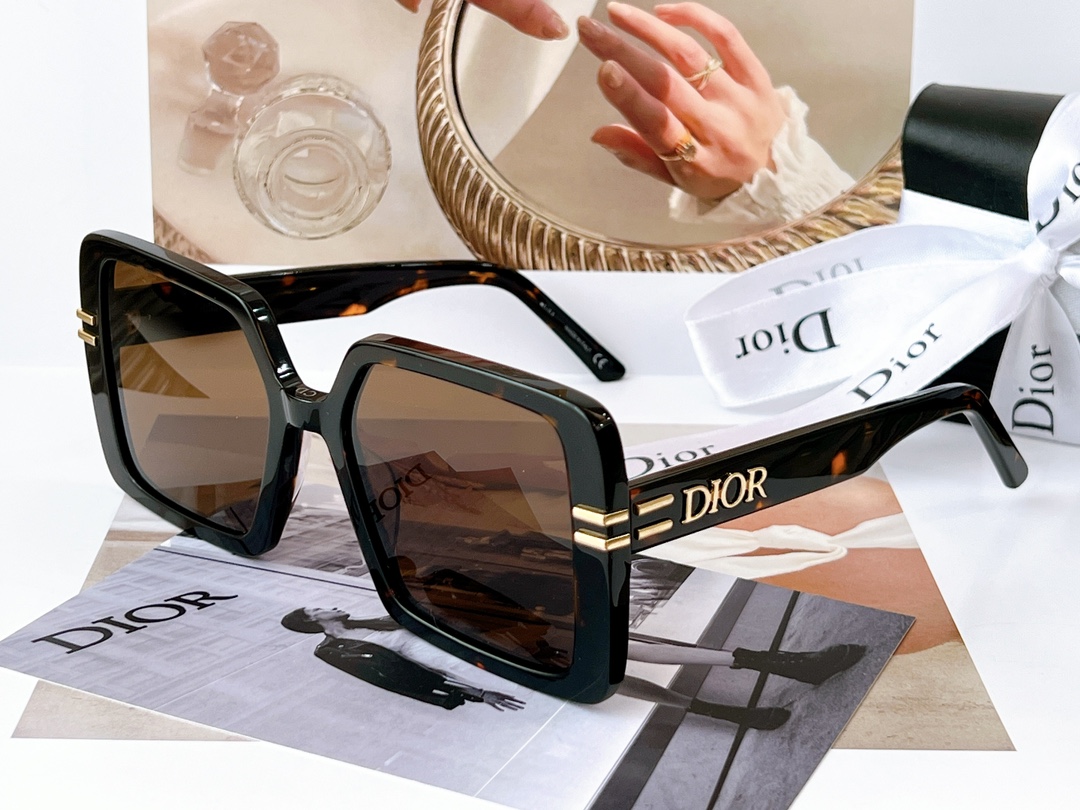 sunglasses Dior 8070 - vstockx