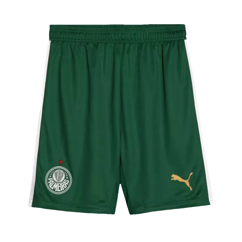 SE Palmeiras Away Soccer Shorts 2024/25 - vstockx