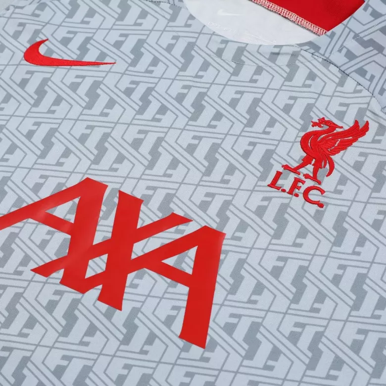 Liverpool Jerseys Sleeveless Training Kit 2023/24 Gray - vstockx