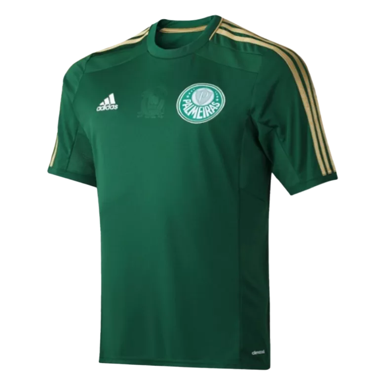 Vintage Soccer Jersey SE Palmeiras 2014/15 - vstockx