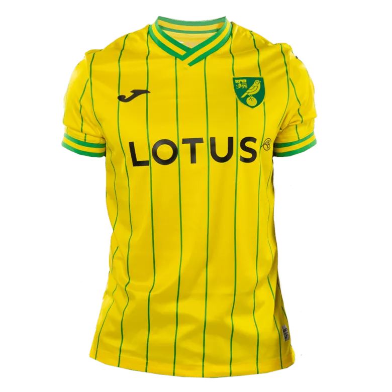 Replica Norwich City Home Jersey 2022/23 - vstockx