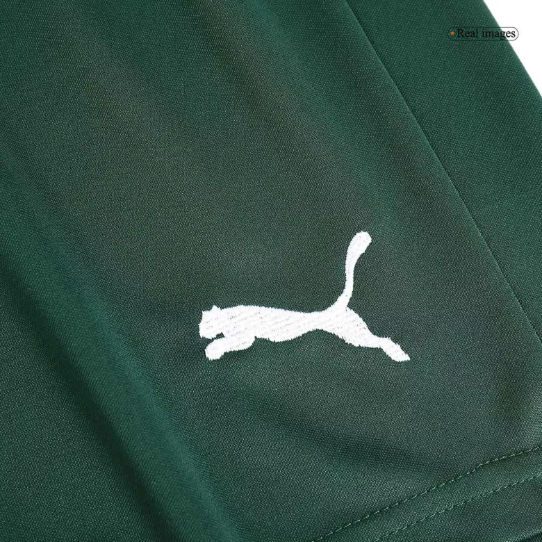 SE Palmeiras Away Soccer Shorts 2023/24 - vstockx