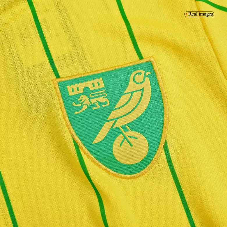 Replica Norwich City Home Jersey 2022/23 - vstockx