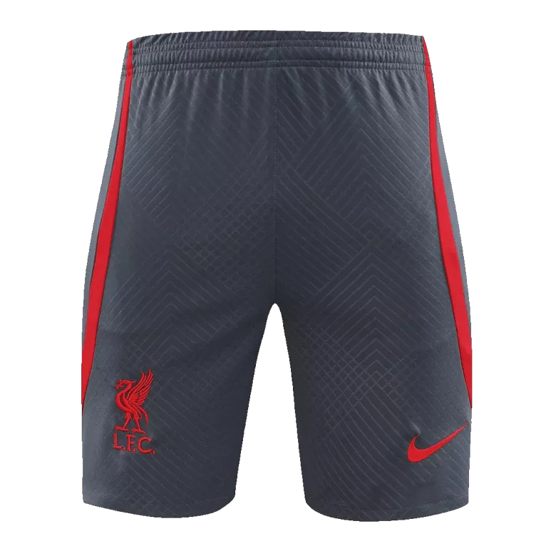 Liverpool Jerseys Sleeveless Training Kit 2023/24 Gray - vstockx