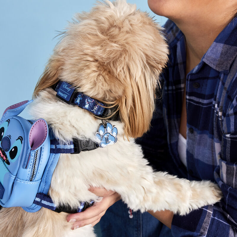 Stitch x26 Scrump Dog Collar