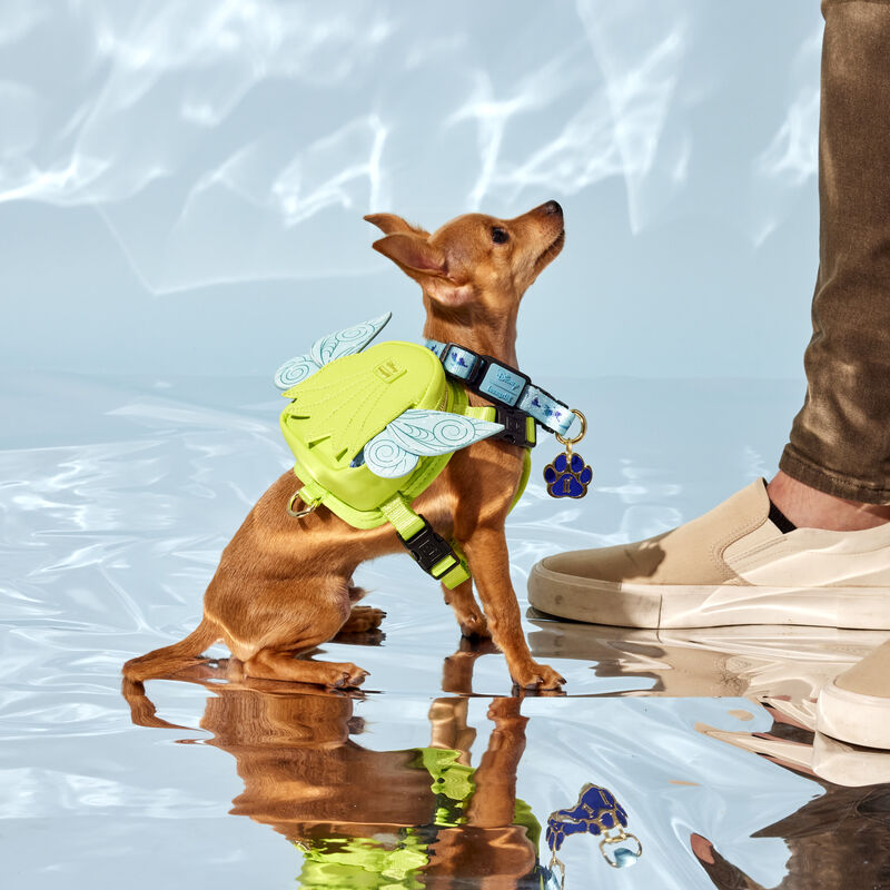 Peter Pan Tinker Bell Cosplay Glitter Mini Backpack Dog Harness