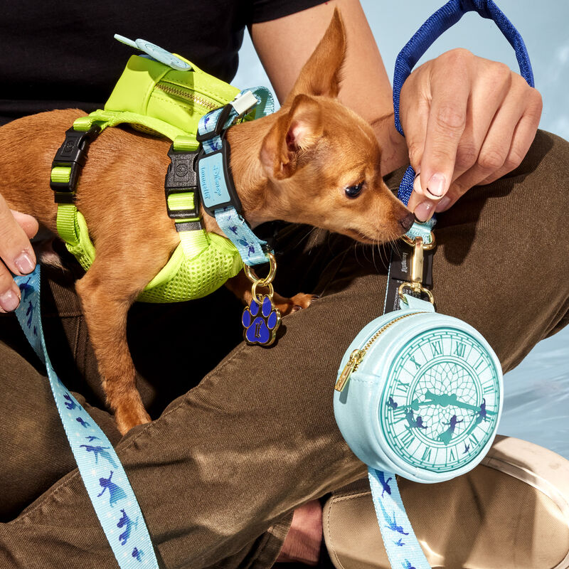 Peter Pan You Can Fly Clock Treat x26 Disposable Bag Holder