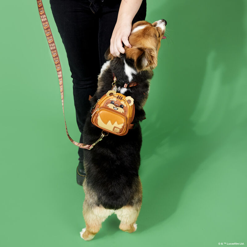 Star Wars Ewok Dog Leash