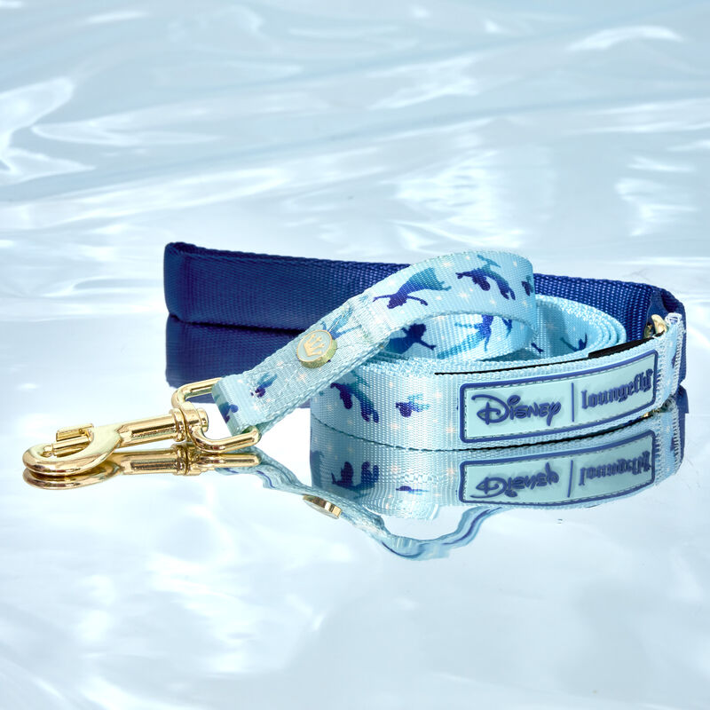 Peter Pan You Can Fly Leash