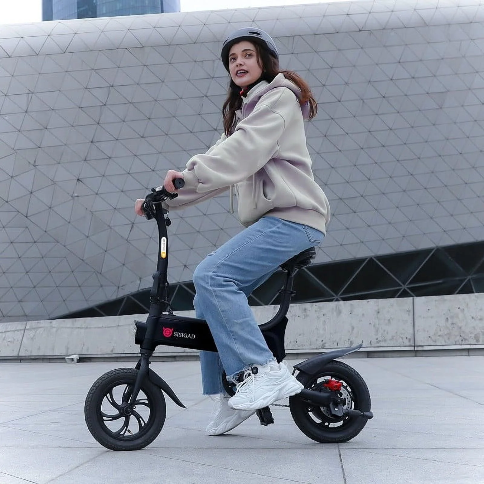 Sisigad Folding Electric Bike, 12