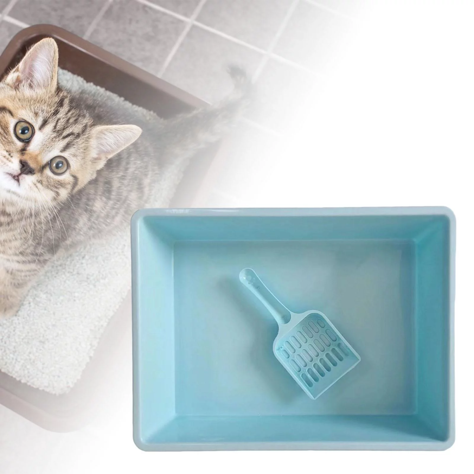 Cat Pet Litter Tray Toilet Bedpan Container Deep Loo Litter Pan Blue
