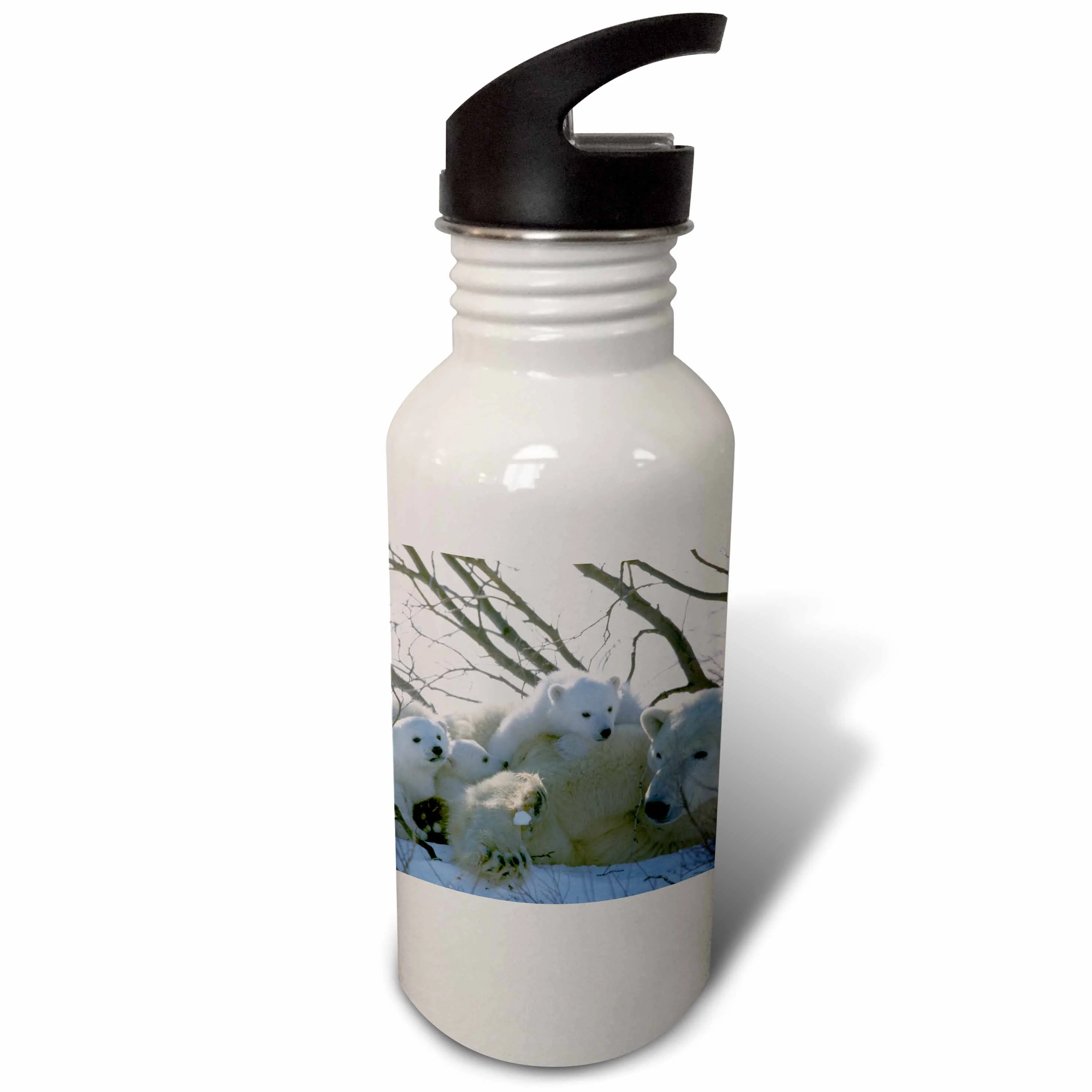 Manitoba, Churchill. Polar Bear and cubs-CN03 GJE0021 - Gavriel Jecan 21 oz Sports Water Bottle wb-70166-1