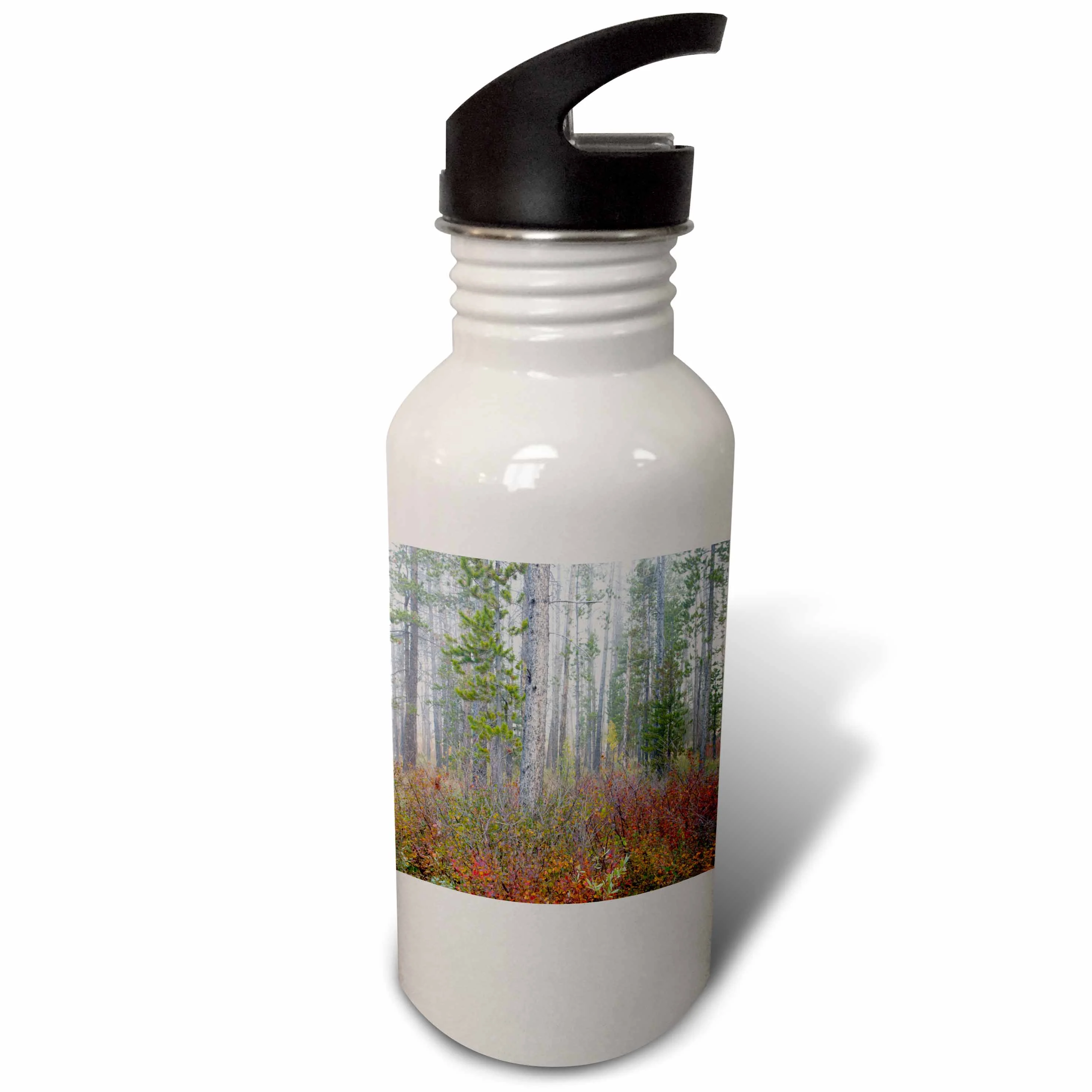 USA, Idaho, Challis National Forest, pine trees - US13 JWI0110 - Jamie and Judy Wild 21 oz Sports Water Bottle wb-144331-1