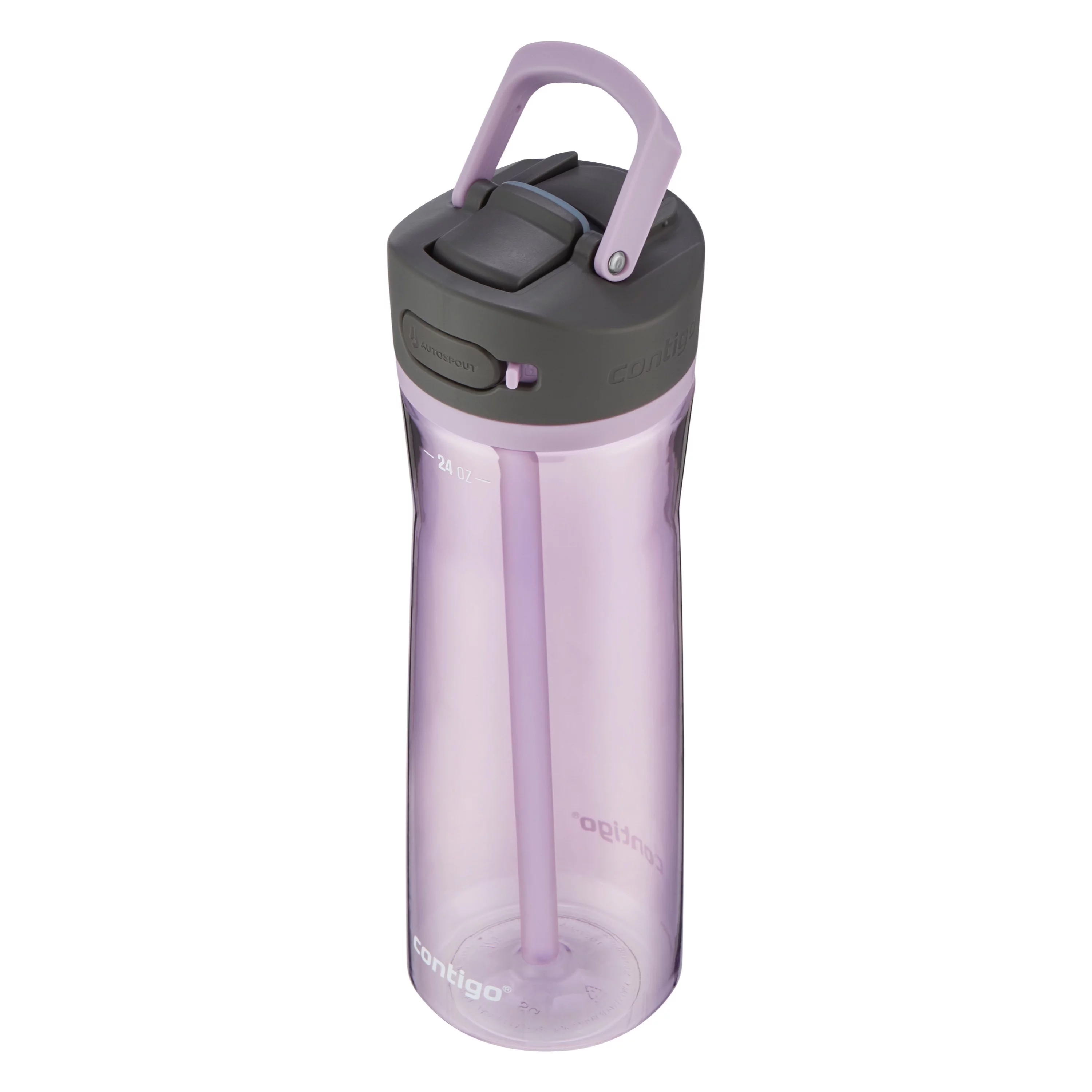 Contigo Ashland 2.0 24 oz Lavender and Black Plastic Water Bottle with Straw Lid