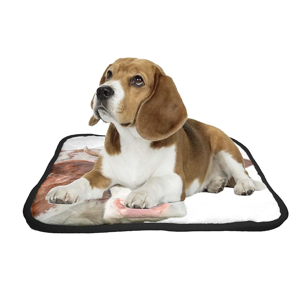 ABPHQTO Funny Cow Looking At The Camera Pet Dog Cat Bed Pee Pads Mat Cushion Potty Dogs Blankets Crate Bed Kennel 28x36 inch