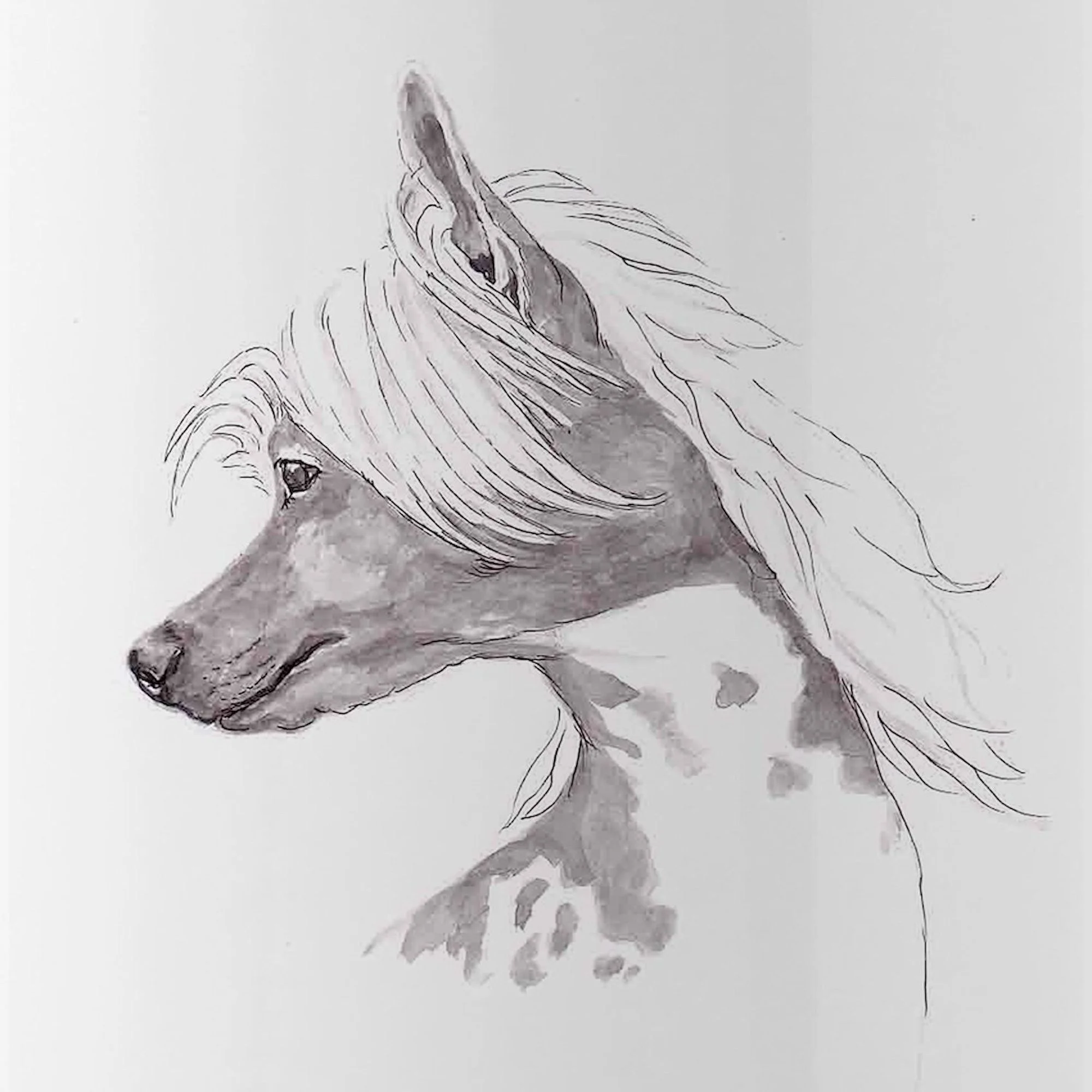 CafePress - Chinese Crested Water Bottle - Stainless Steel Water Bottle, Sports Bottle, 1.0L