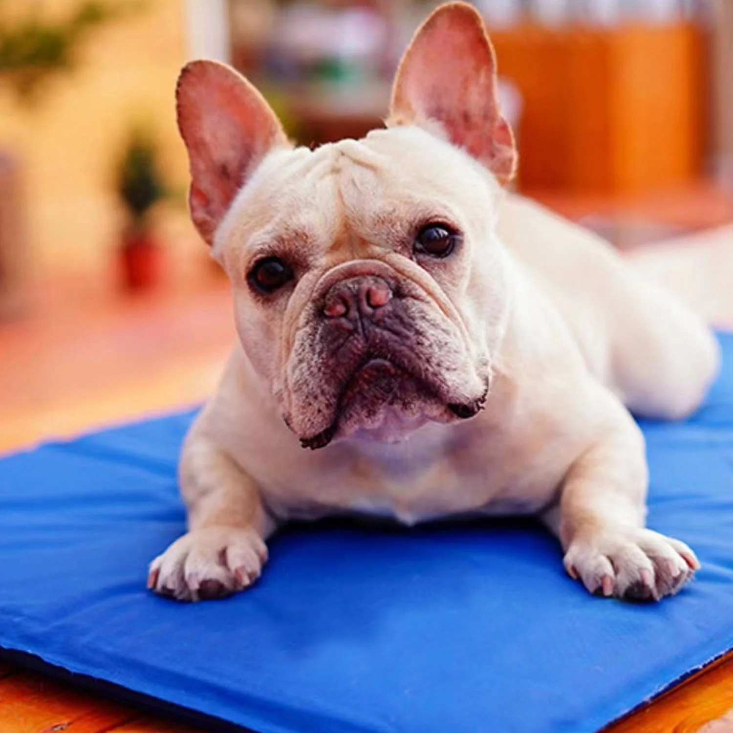 Cooling Mat for Dogs iMounTEK Foldable Pressure Activated Gel Dog Cooling Mat for Kennels Crates Beds Car Seats S