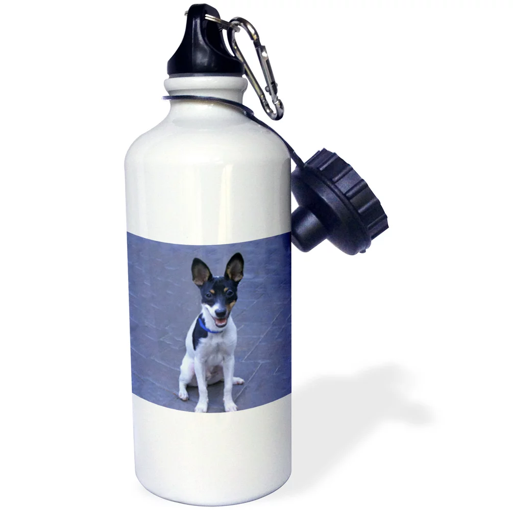 3dRose Toy Fox Terrier 2, Sports Water Bottle, 21oz