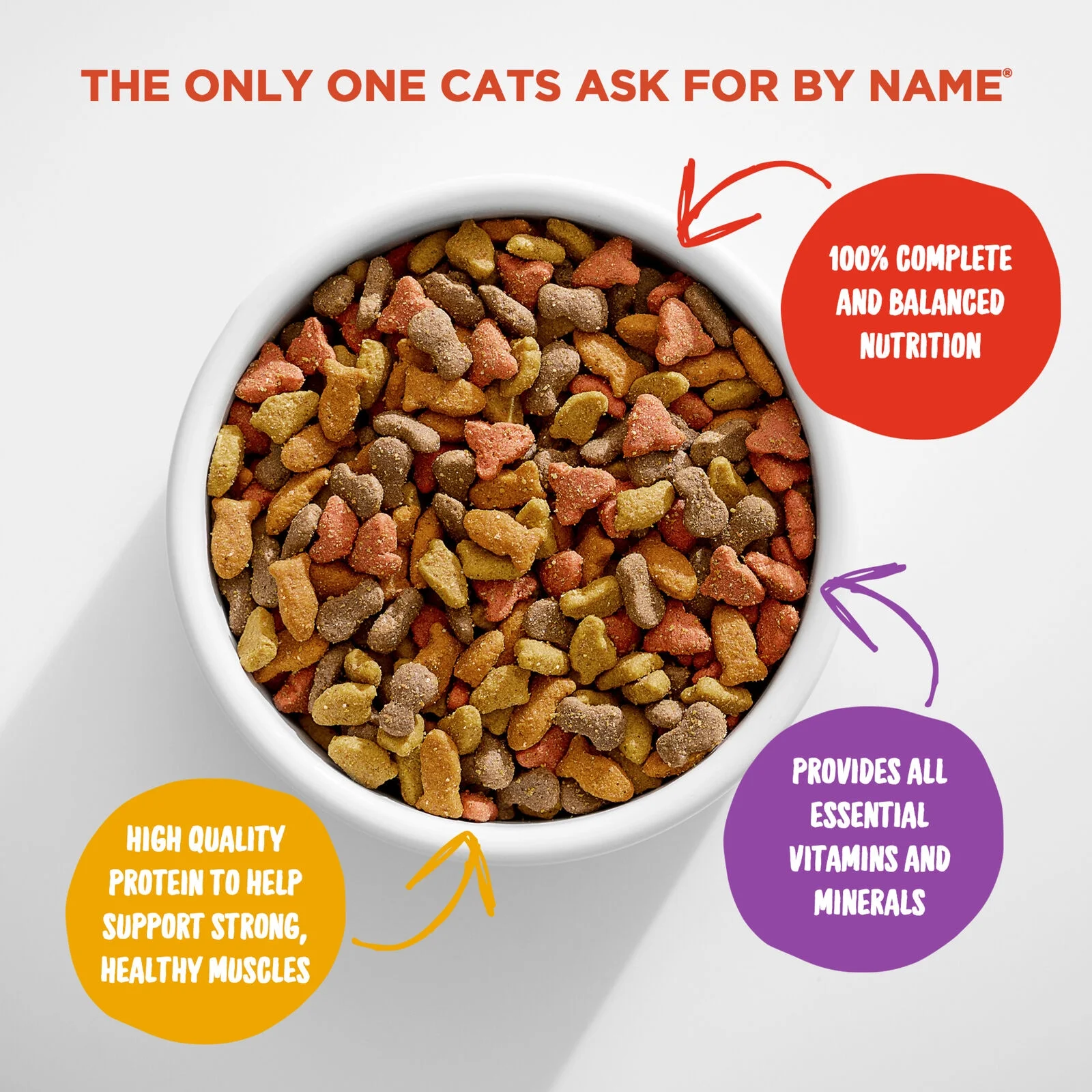 Meow Mix Complete Balanced Nutritious Delicious Dry Cat Food 22 lbs.