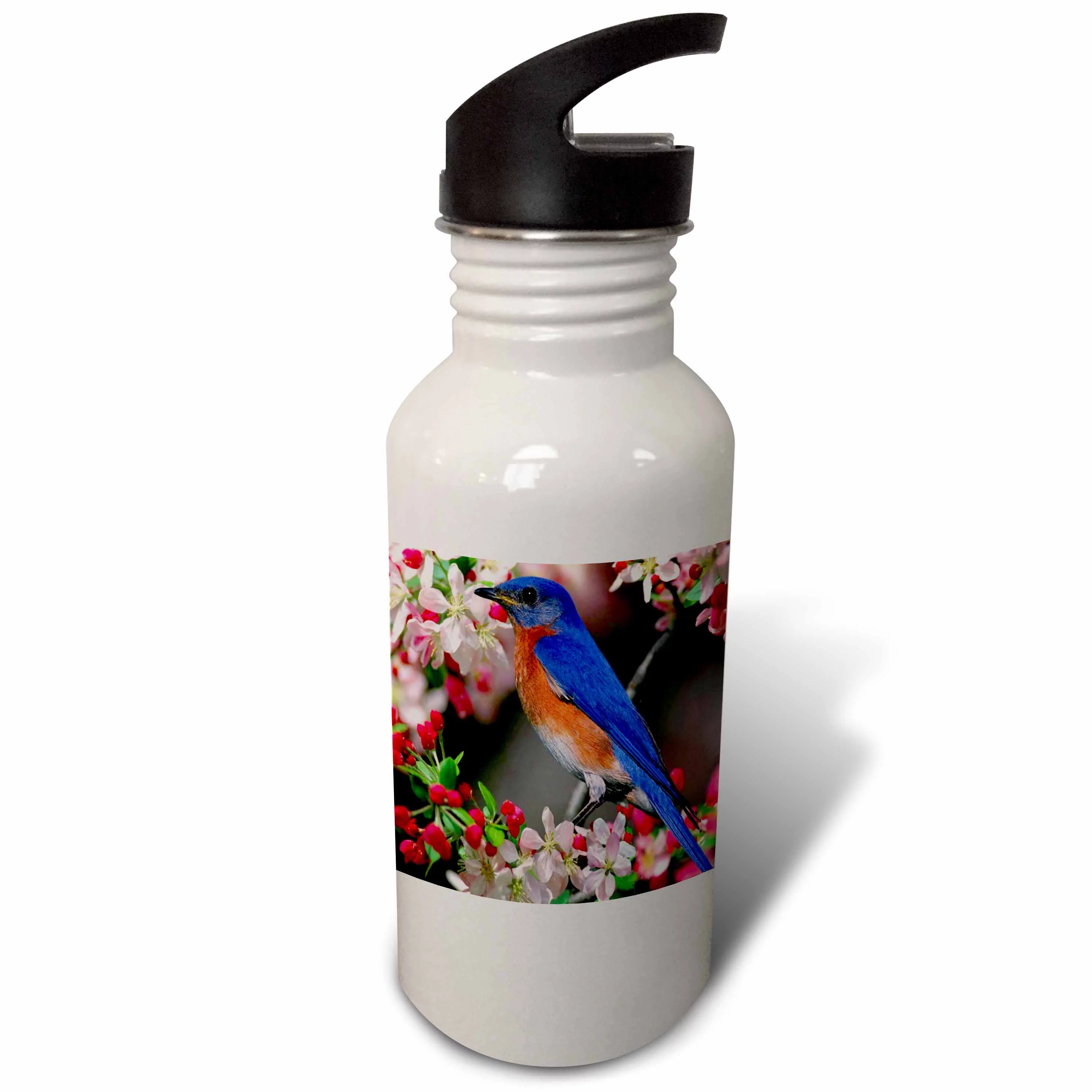 Beautiful Bluebird n Cherry Blossoms 21 oz Sports Water Bottle wb-55179-1