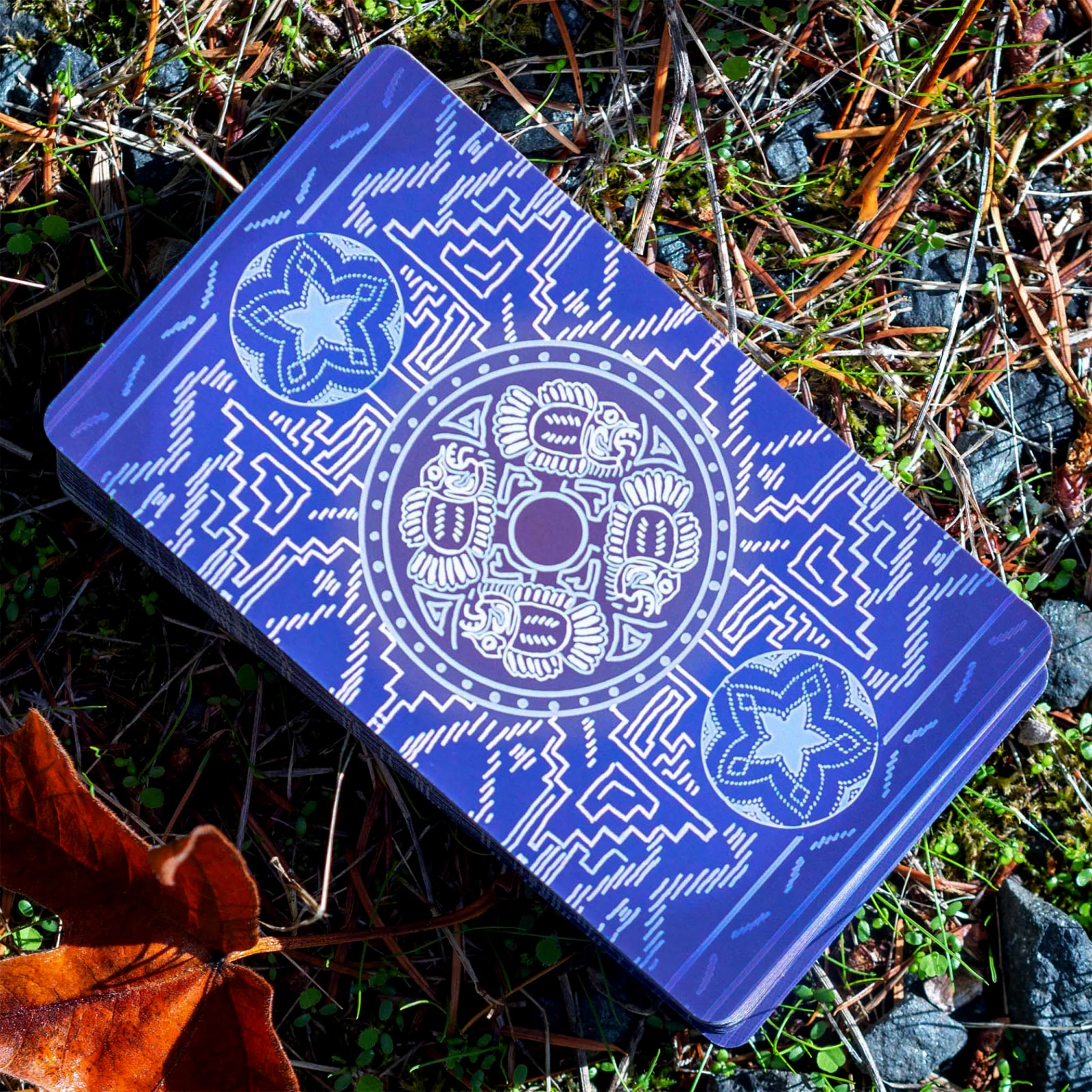 The Native Spirit Tarot by Da Brigh: 78-Card Deck and Guidebook (Cards)