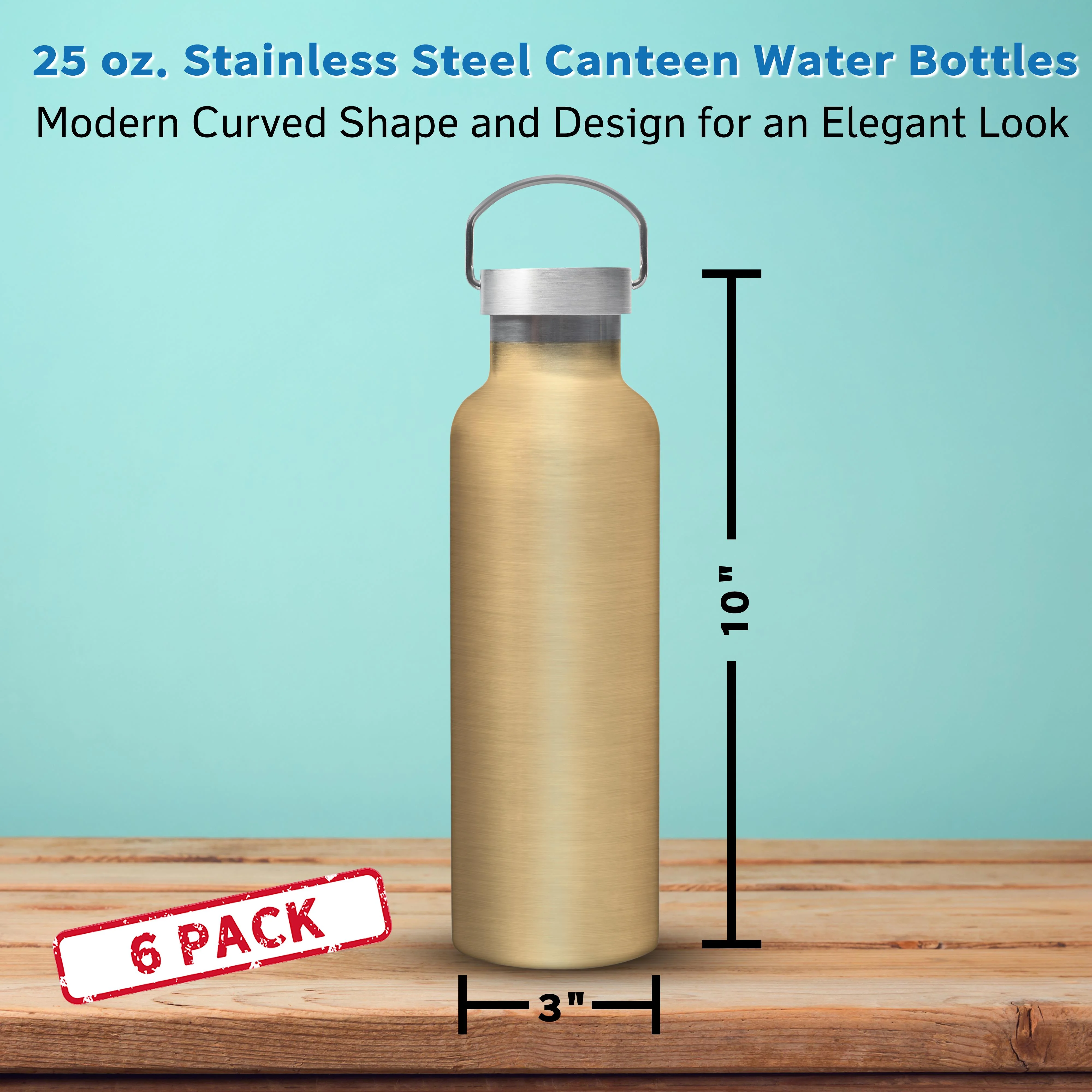 6 Stainless Steel Canteen Water Bottles Set, 25 oz. - Double Wall, Wire Handle - Gold