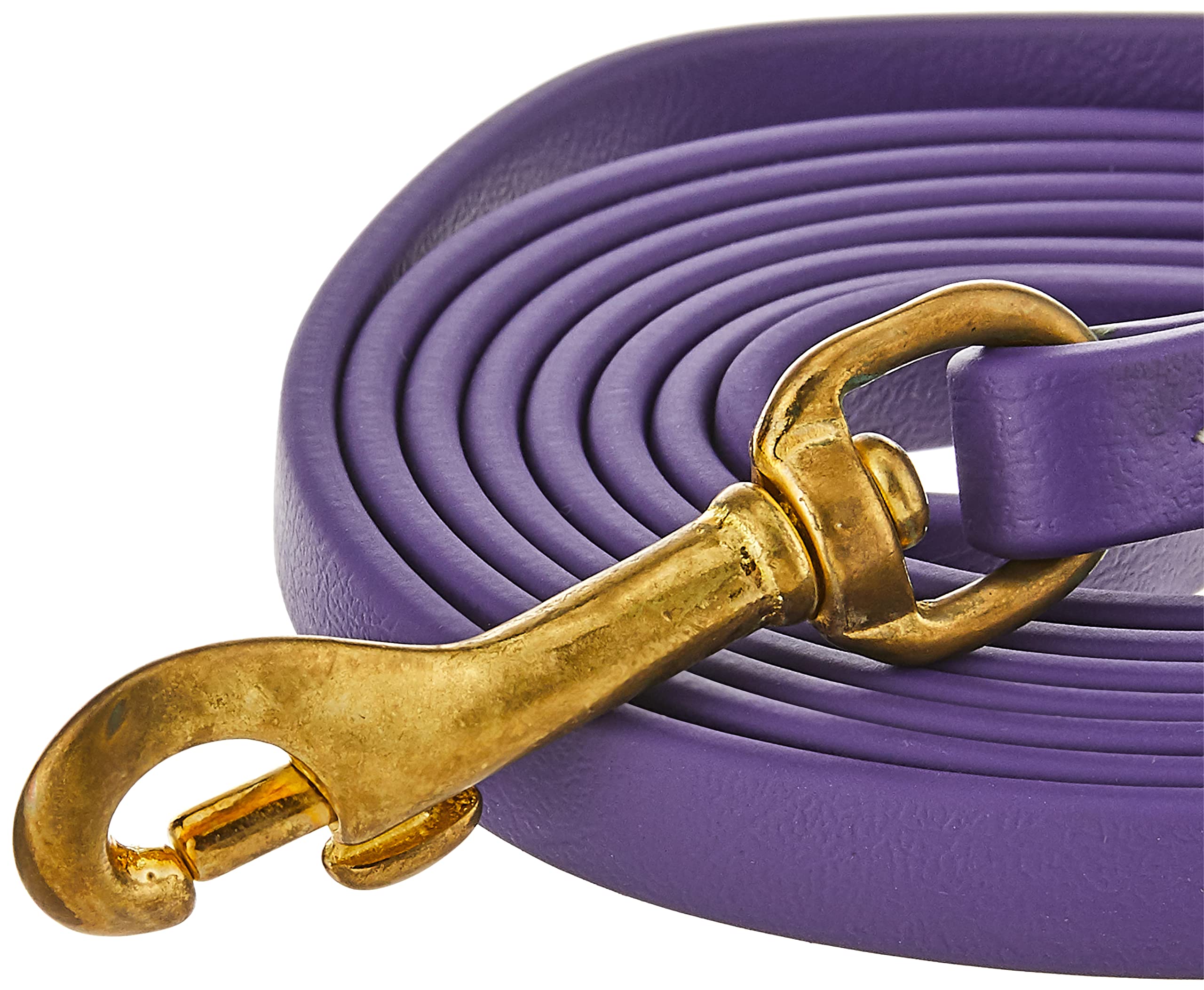 J&J Dog Supplies Biothane Dog Leash, 1/2