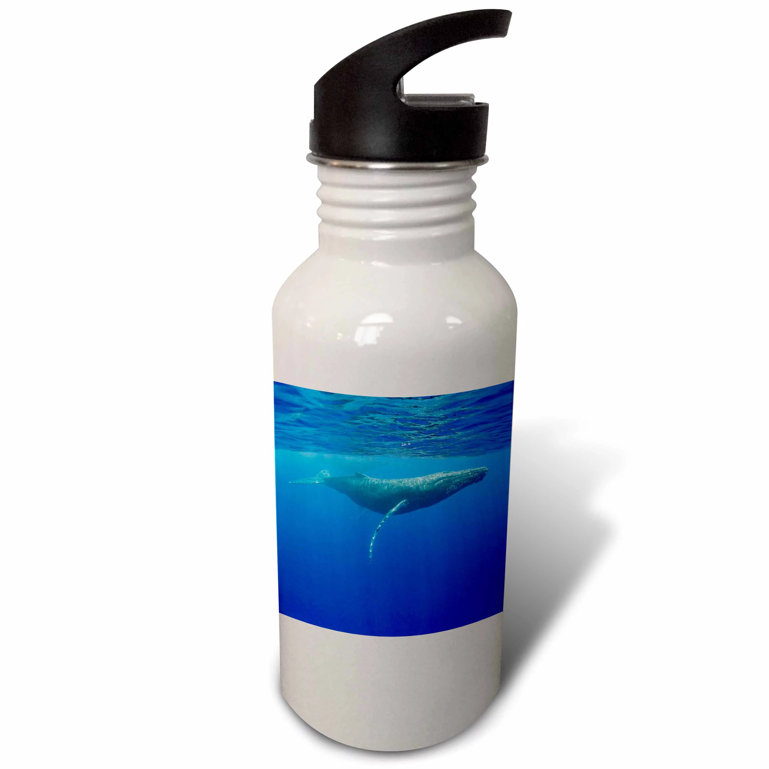 Hawaii, Big Island, Humpback Whale - US12 PSO0028 - Paul Souders 21 oz Sports Water Bottle wb-89841-1