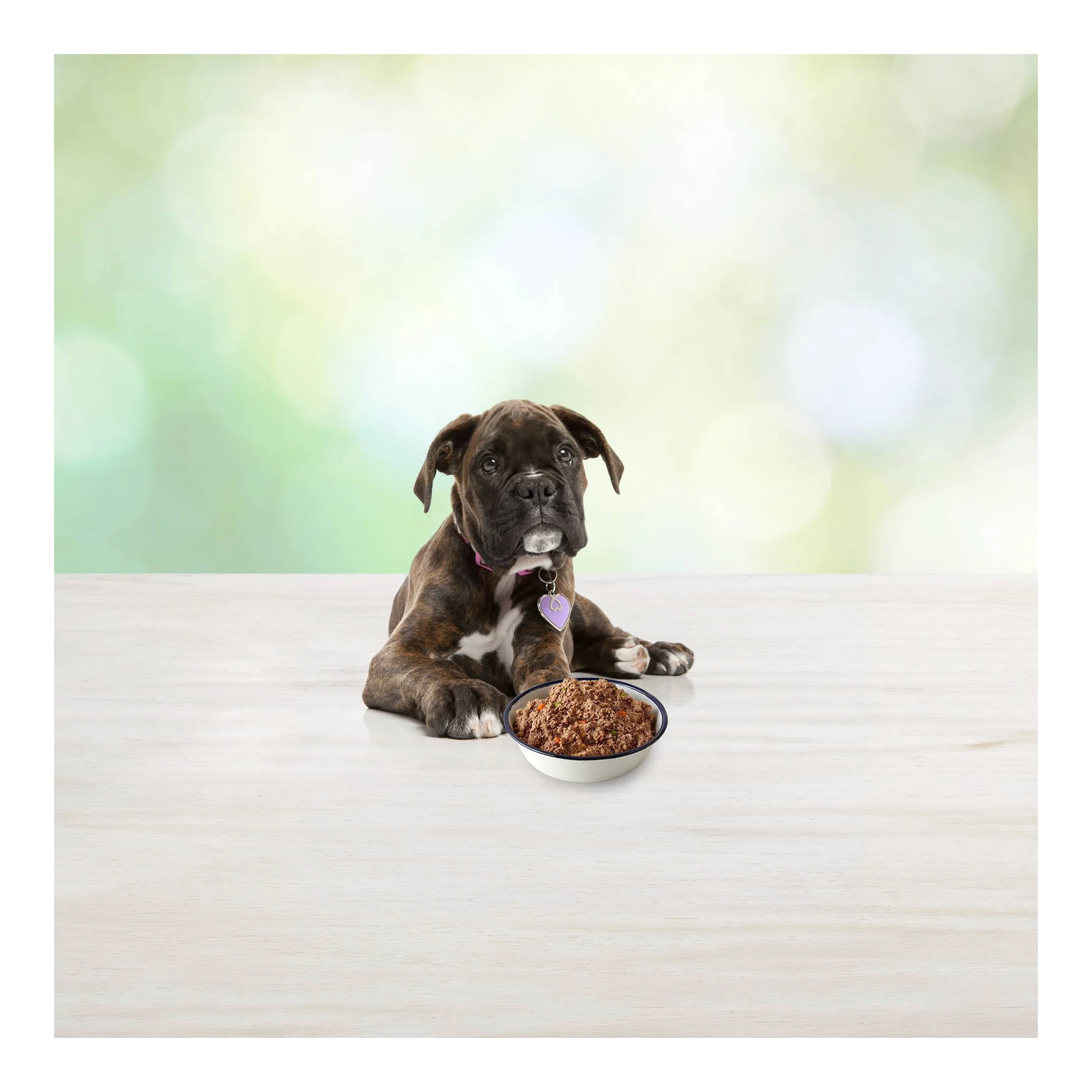 Freedom Grain Free Wet Dog Food Chicken Recipe Puppy - 12.5oz/12ct Pack