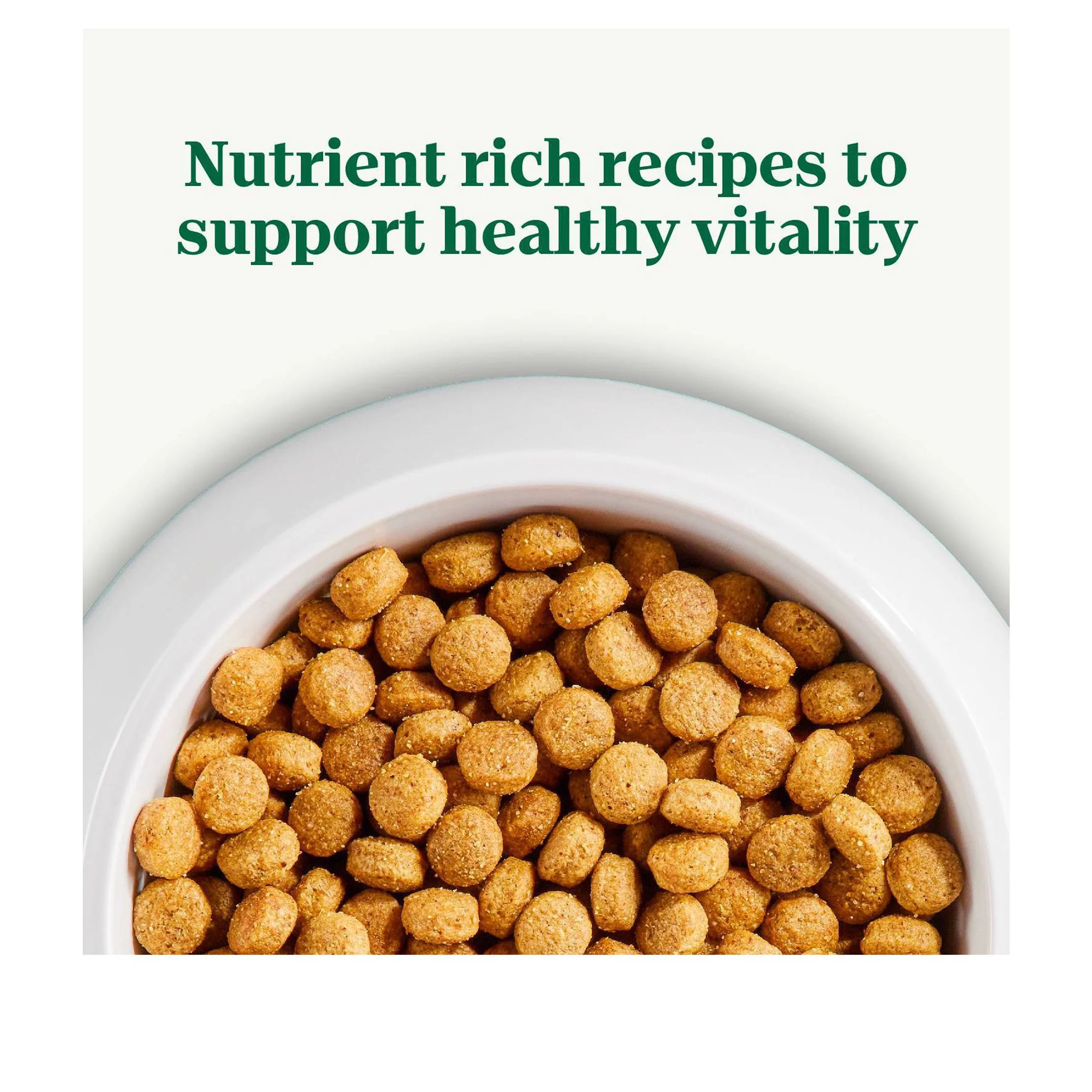 Natural Choice Chicken and Brown Rice Recipe Adult Dry Dog Food - 30lbs