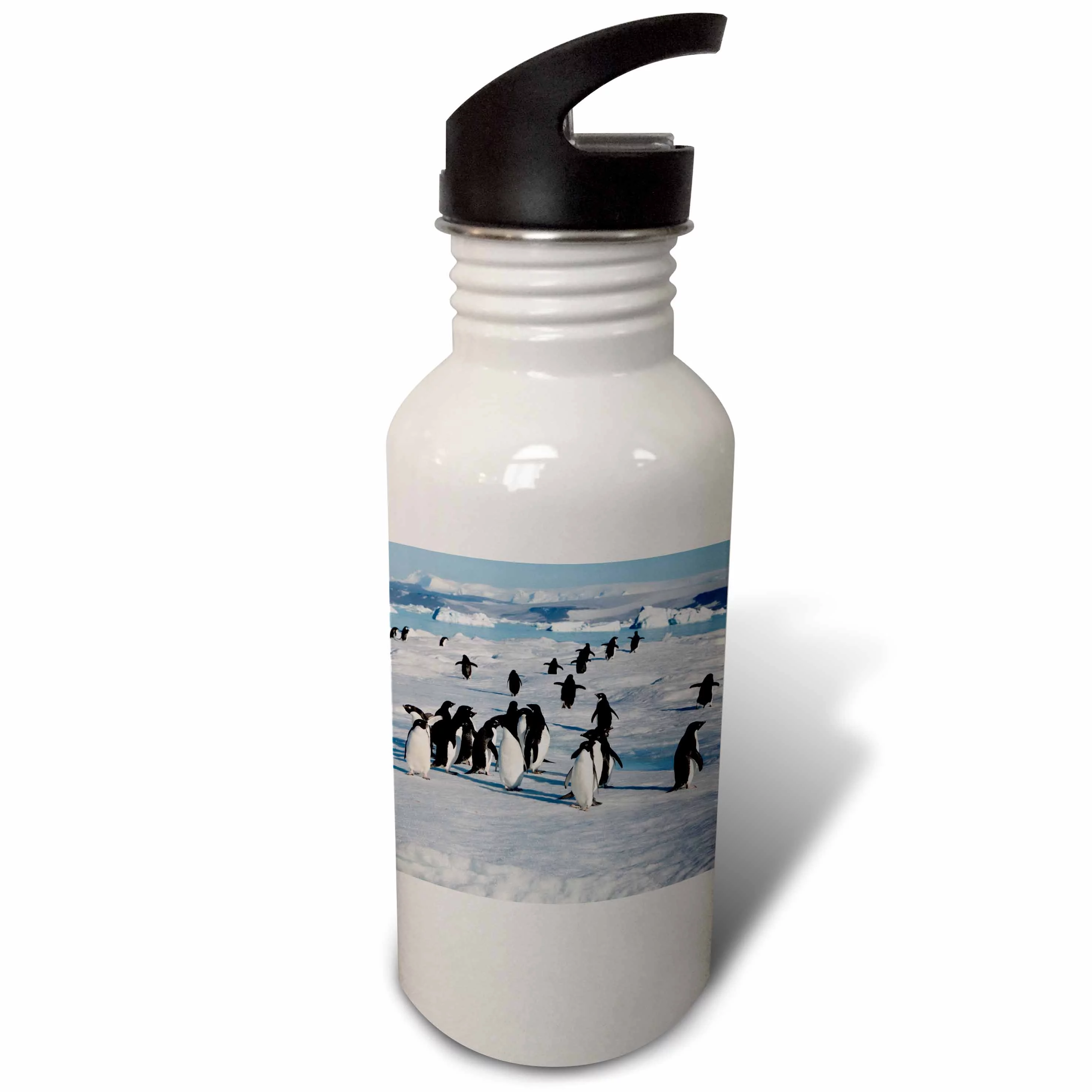 Adelie penguin colony on Devil Island, Antarctica - AN02 HRO0197 - Hugh Rose 21 oz Sports Water Bottle wb-132265-1
