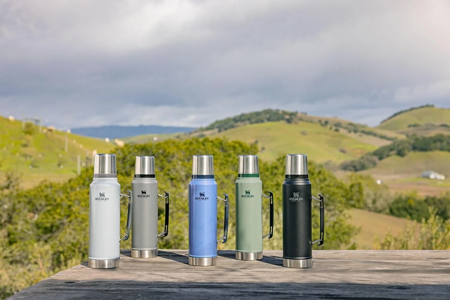 Stanley The Legendary Classic Insulated Bottle