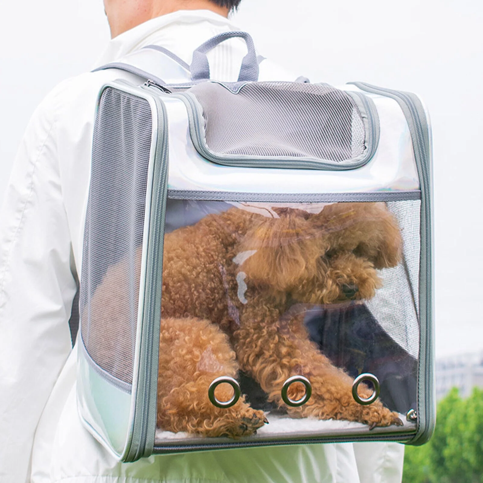 Portable Foldable Pet Backpack Carrier - Breathable Transparent Dog Cat Bag Carrier for Travel