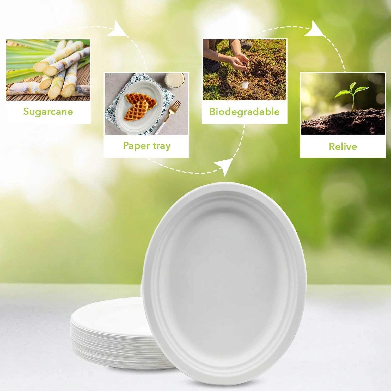 Three Leaf 12” X 10” Bagasse Oval Plate, 50 CT. Heavy-Duty- Super Strong- White- Eco-Friendly